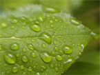 videos sobre agua estructurada, agua vital, agua, agua potable, filtros para agua potable, filtros de agua, tratamiento de agua, agua estructurada, ósmosis, purificación del agua, filtración del agua, agua pura, alkalinizacion de agua, tecnología del vórtice, consumo de agua, agua ionizada