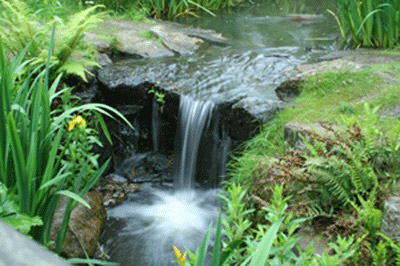 <Strukturiertes Wasser ist wie Wasser das einer Bergquelle entspringt. Das Wasserist in natuerlicher Balance>