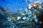 <residuos de plastico generan un grave e problema en los oceanes no bebes agua en botellas de plastico>