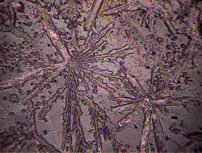 < water molecules of structured water Agua Estructurada>